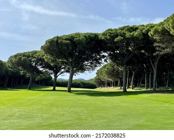 Golf Course Pals In Spain Region Of Catalonia 