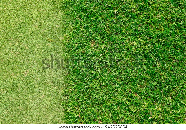 Golf Course. Short\
grass divides vertically with long grass that has more space. for\
background texture.