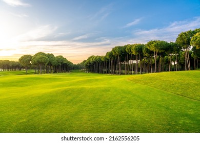 Golf course at sunset with beautiful blue sky. Scenic panoramic view of perfect golf fairway. Golf field with high pines
