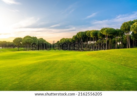 Golf course at sunset with beautiful blue sky. Scenic panoramic view of perfect golf fairway. Golf field with high pines
