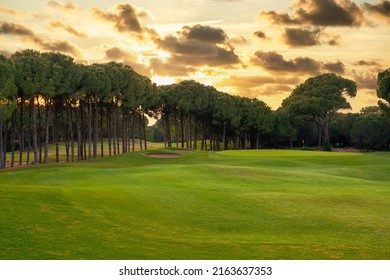 Golf course at sunset with beautiful dramatic sky. Scenic panoramic view of golf fairway. Beautiful golf field with pines
