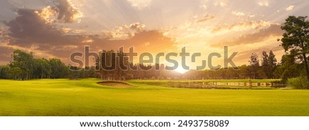 Similar – Image, Stock Photo Sunset Sunrise In Pine Forest Landscape. Sun Sunshine With Natural Sunlight Through Wood Tree In Evening Forest. Amazing Scenic View. Autumn Nature. Sunset Sunrise In Autumn Forest Woods