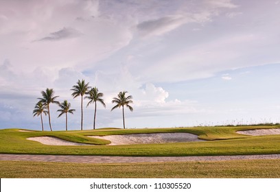 Golf course sunset with tropical palm trees and landscaped grass. Miami Florida.