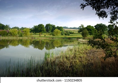 Golf Course In Surrey, England, UK