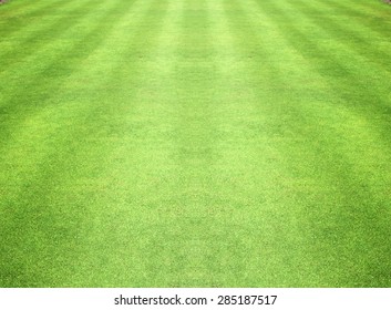 Golf Courses Green Lawn