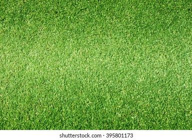 Golf Courses Green Lawn Pattern Textured Background.