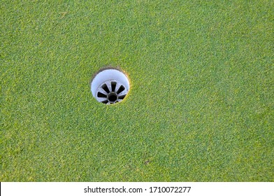 Golf Cup On Putting Green