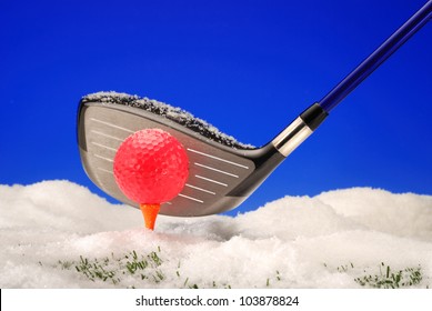 Golf driver with bright magenta golf ball in snow. Studio simulation of wintry conditions.