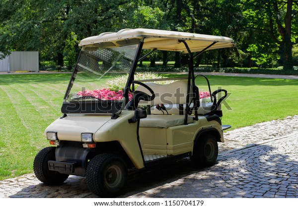  Golf Electric Cart in the park Lift Station On The\
Paving Road