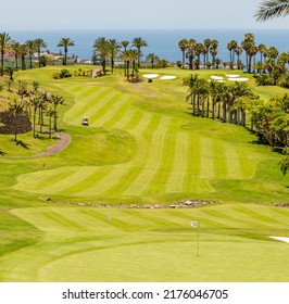 Golf Field Elite Sport Background