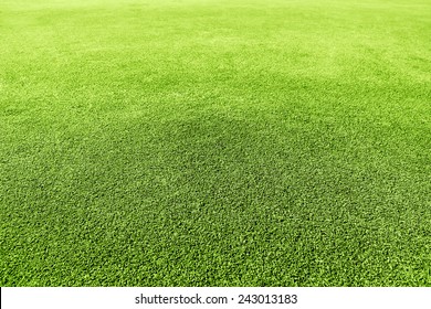 Golf Green Grass Texture Close-up