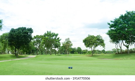 Golf Green Screen Hole Sport