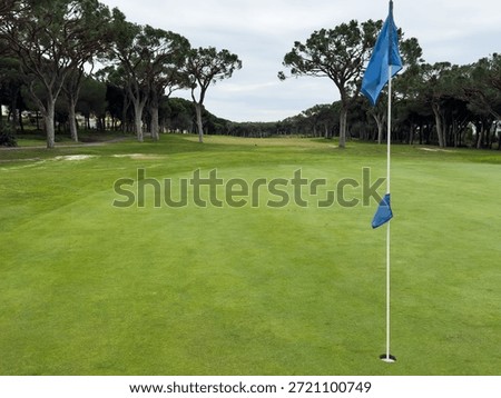 Golf hole with its flag.