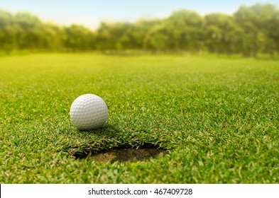 Golf Into The Hole