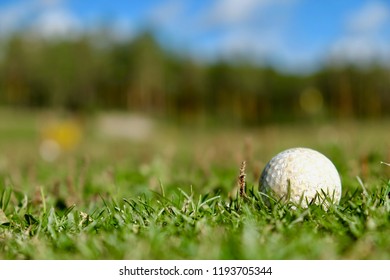 Golf Park In Finland (Kultaranta,Naantali) Finland. Europe.
