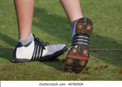 Golf Shoes