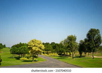 Golf Sport Played On The Outdoor Courts Of The Social Elite