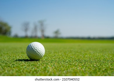 Golf Sport Played On The Outdoor Courts Of The Social Elite