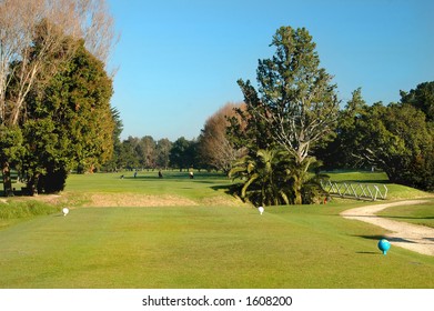 Golf - The Tee Box