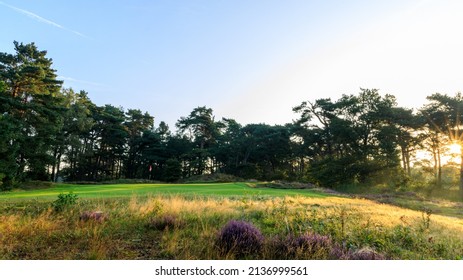 Golfcourse landscap nature photography in The Netherlands. Beautifull sunset at the golfcourse golf course golf