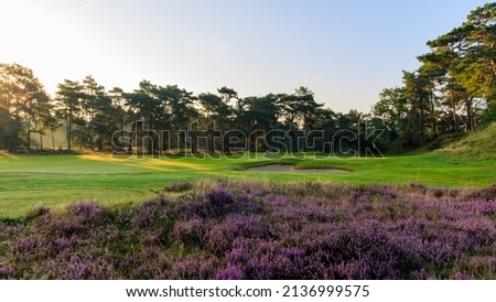 Golfcourse landscap nature photography in The Netherlands. Beautifull sunset at the golfcourse golf course golf
