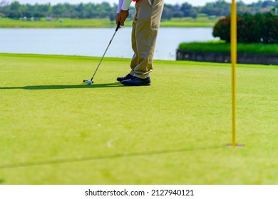 Golfer preparing for a putt Golf ball on the green during golfcourse.