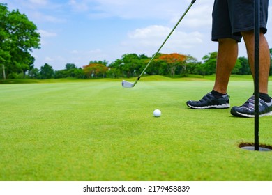 Golfer Putt Golf Ball Into Hole On The Green At Golf Course.