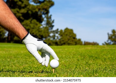 Golfer Putting Golf Ball On The Green Golf. Golfer Man With Golf Glove.