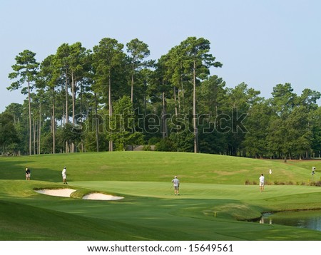 Golfers on a beautiful  golf course in Myrtle Beach, South Carolina.