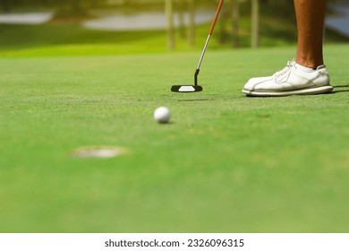Golfers putting golf balls on the green amid the warm sunshine in the morning. Concept of Outdoor activities and Outdoor sports, Concept of Golfer and Lifestyle.