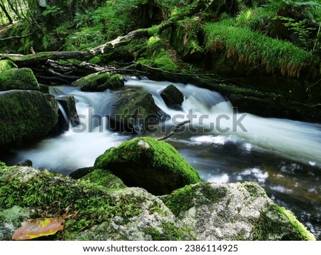 Golitha falls in full flow