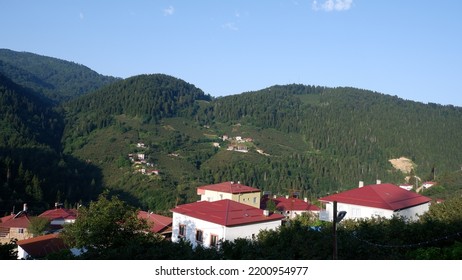 Golkoy, Ordu, Turkey. A View Of A Village In The Black Sea. Blue Sky And Green Forest.