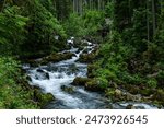 Gollinger  Waterfall: Austria