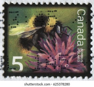 GOMEL, BELARUS, APRIL 21, 2017. Stamp printed in Canada shows image of  The Bombus Polaris, circa 2007.