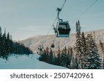 gondola ski lift in mountain ski resort, winter day, snowy spruce forest