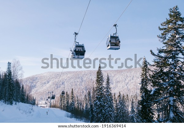 gondola ski lift in mountain ski resort, winter
day, snowy spruce
forest