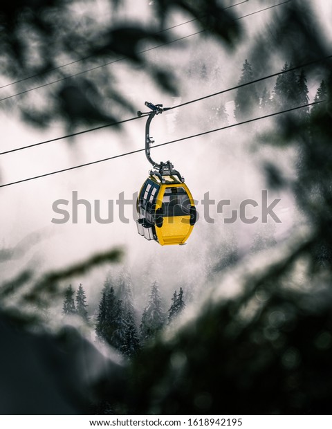 Gondola in sunny winter\
forest