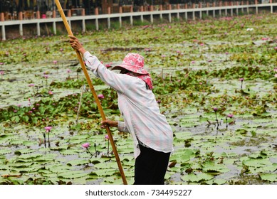 Gondolier