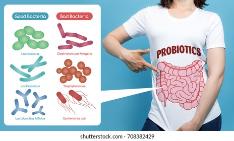 Good Bacteria And Bad Bacteria, Enteric Bacteria, Intestinal Flora, Gut Flora, Probiotics.