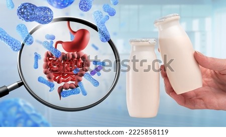 Good bacteria in digestive system. Biologically active additives. Probiotics for stomach. Jars with probiotics for digestive system. Digestive organs and magnifying glass. Probiotic microbes for gut