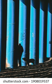 In Good Company. Walking With Your Favorite Pet. The Play Of Light And Shadow.