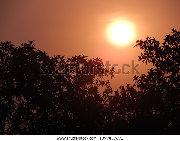 Good Evening Sunset Nature Stock Image