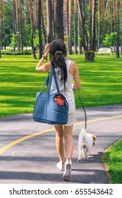 Good Looking Well Dressed Fashion Woman And White Dog Walking In A Park