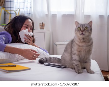 Good Looking Woman Playing With Cat In Bed. Women Have Sneezing Because Of Allergies To Cat Hair Or Cat Saliva. The Concept Of Air Allergy Or Wool And Allergies