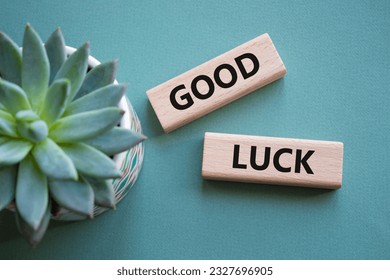 Good luck symbol. Wooden blocks with words Good luck. Beautiful grey green background with succulent plant. Business and Good luck concept. Copy space.