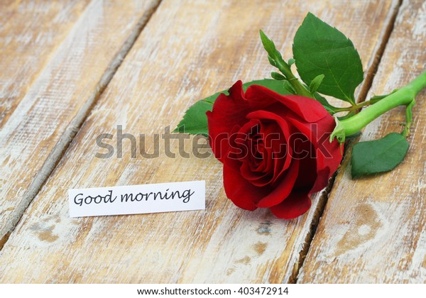 Good Morning Card Red Rose On Stock Image Download Now