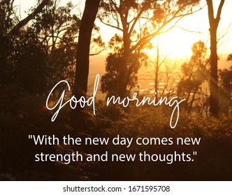 Good Morning Greeting Images And Quotes.