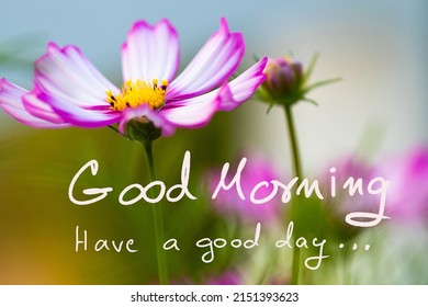 Good Morning Have Good Day Message Stock Photo 2151393623 | Shutterstock