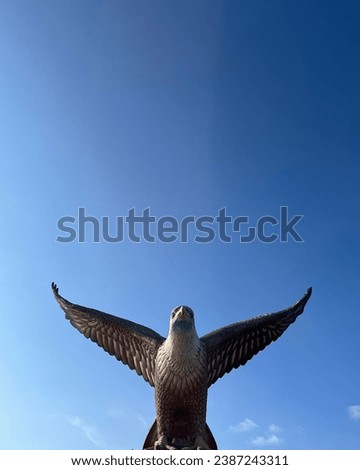 Similar – Foto Bild coolejungs Meer Möwe rau