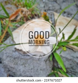 Good Morning Quotes For Stories On Social Media